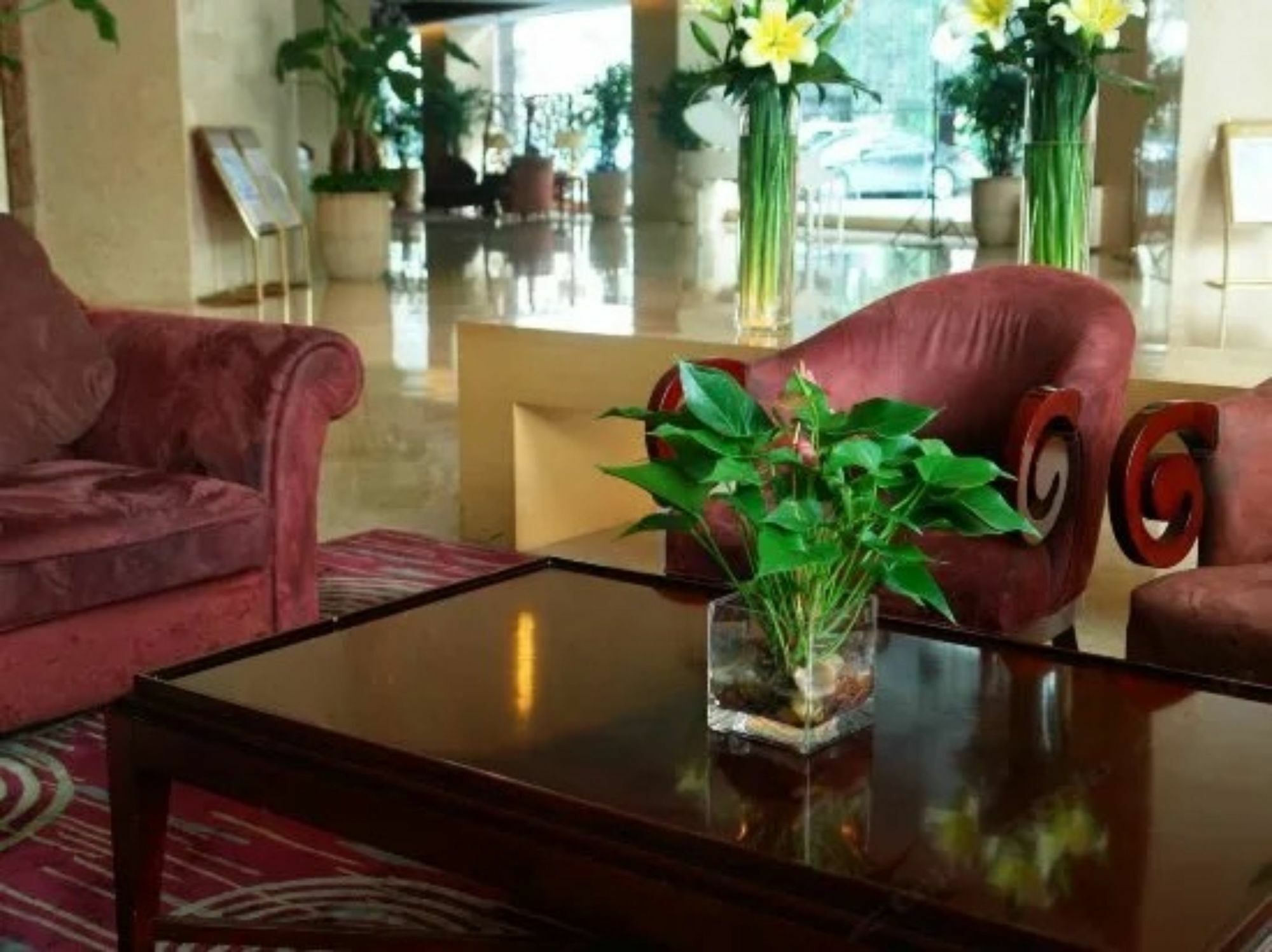 Hilton Garden Inn Guangzhou Tianhe Eksteriør billede